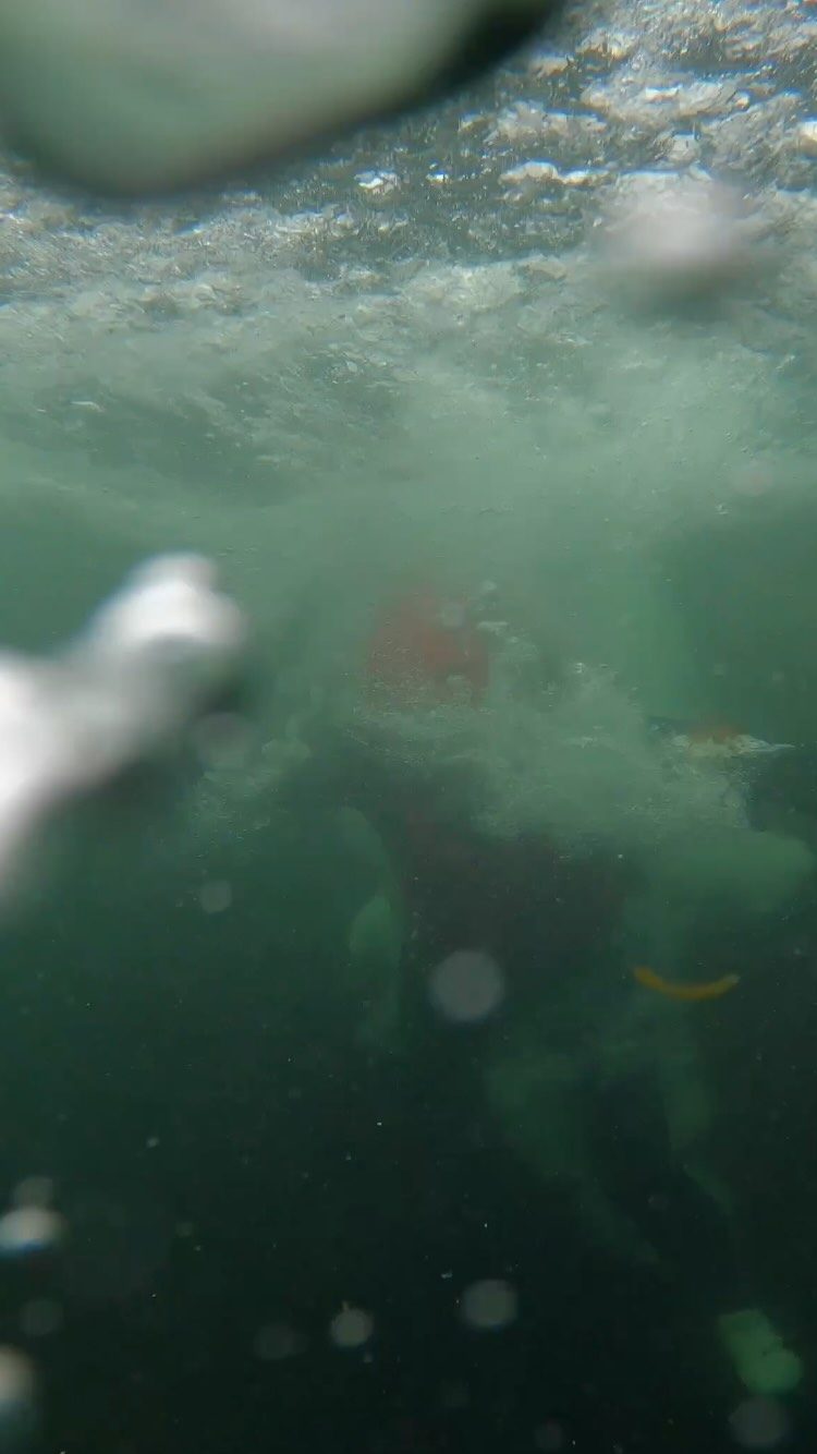 Instagram post from coasteering.fun. This post is in position 1.