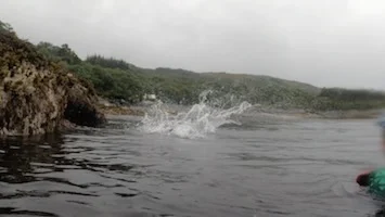 Instagram post from coasteering.fun. This post is in position 4.